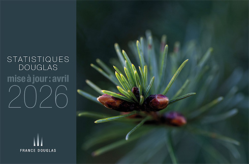 Rapport statistique du Douglas, mise à jour : avril 2026