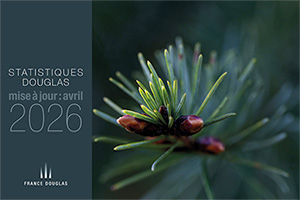Rapport statistique du Douglas avril 2026