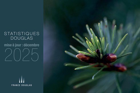 Rapport statistique du Douglas décembre 2025
