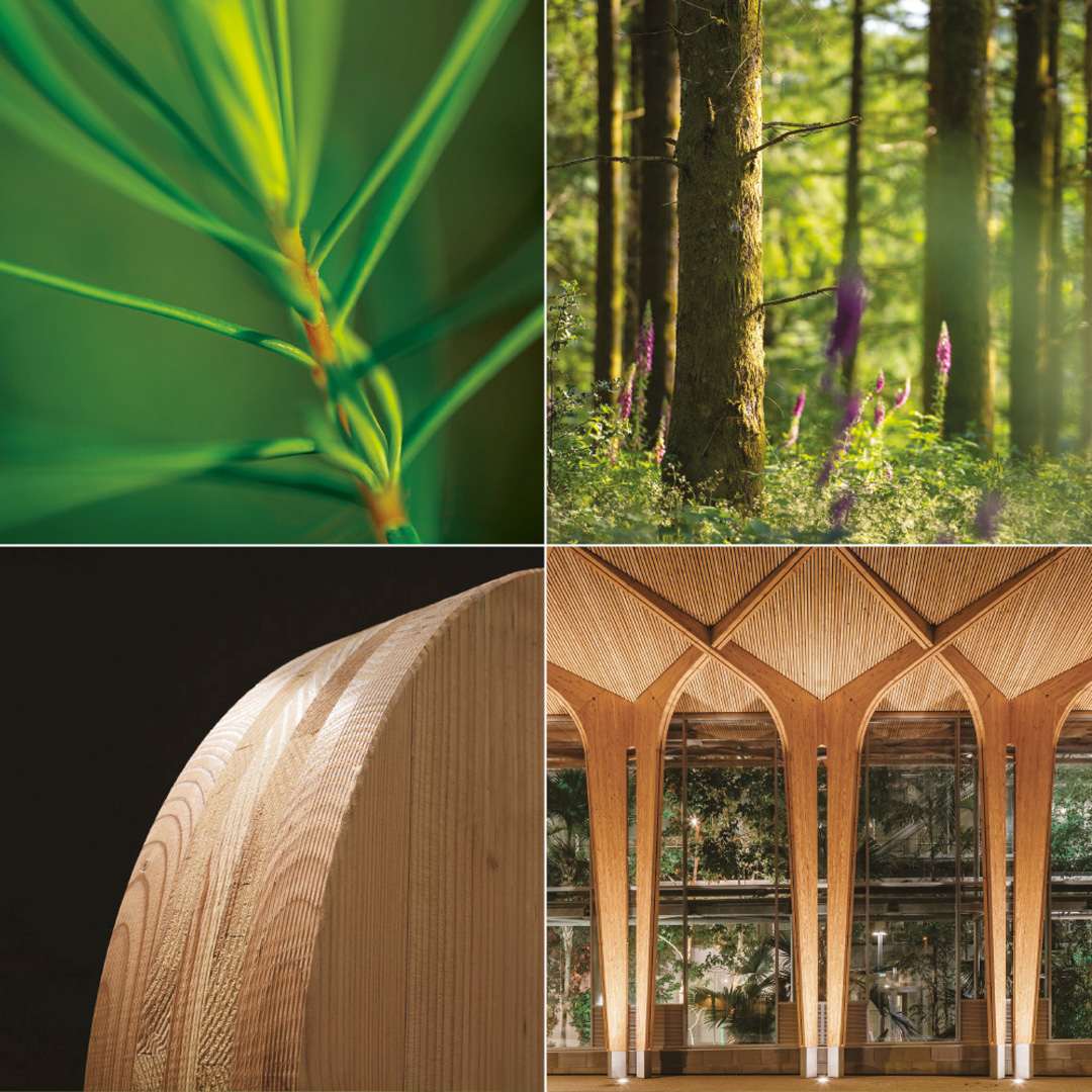 Save the Date : Le Douglas, une filière innovante