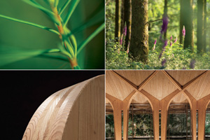 Save the Date : Le Douglas, une filière innovante